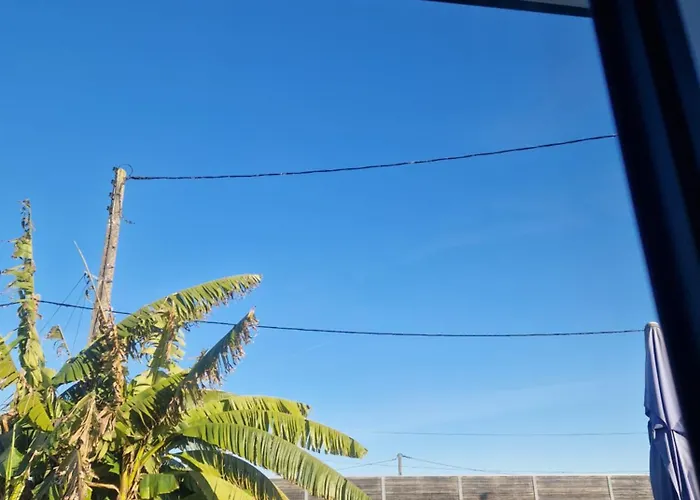 Проживание в семье Maison 2 *